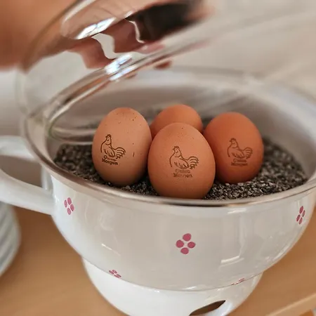 Bed & Breakfast Schachner